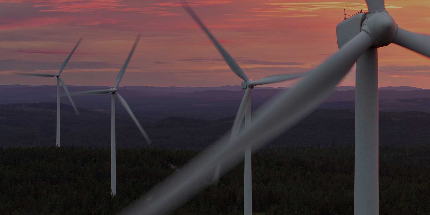 Positionspapier: EU Grids Package und Environmental Omnibus