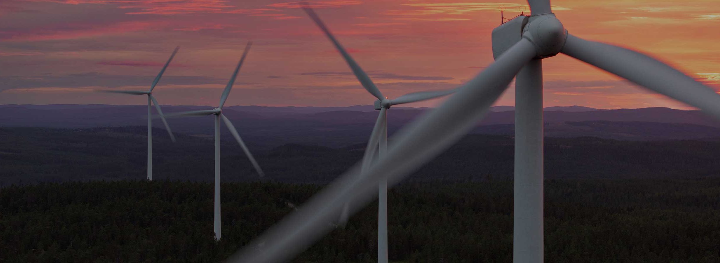 EU Grids Package und Environmental Omnibus