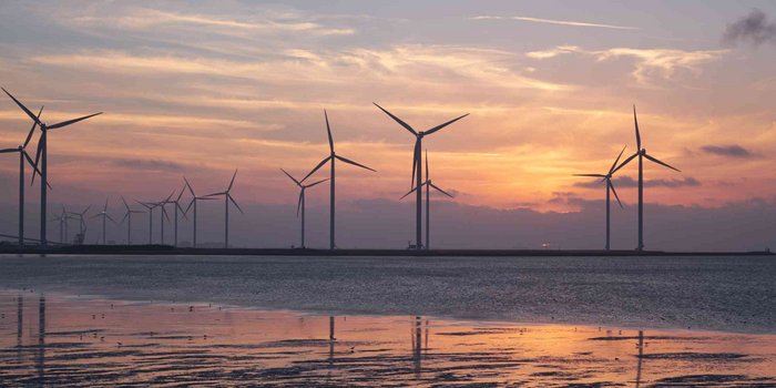 Positionspapier: Praxisvorschläge zum Umgang mit Fledermäusen bei Windenergievorhaben