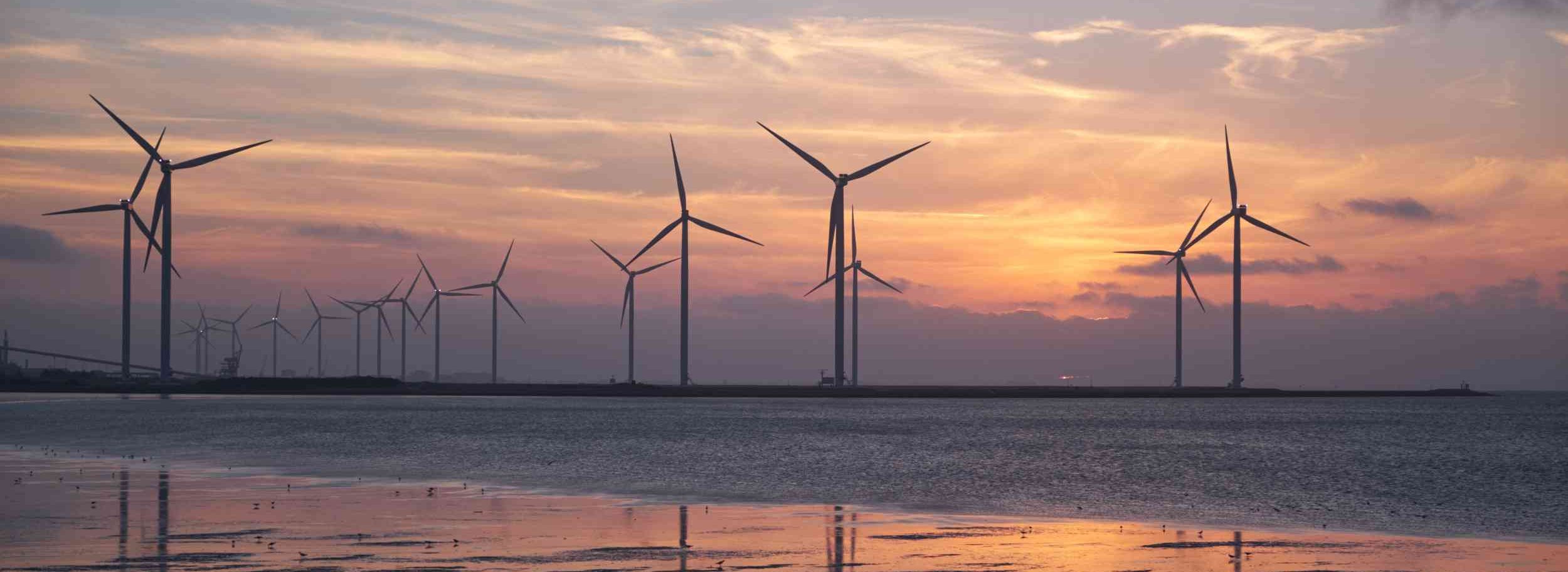 EU Grids Package und Environmental Omnibus