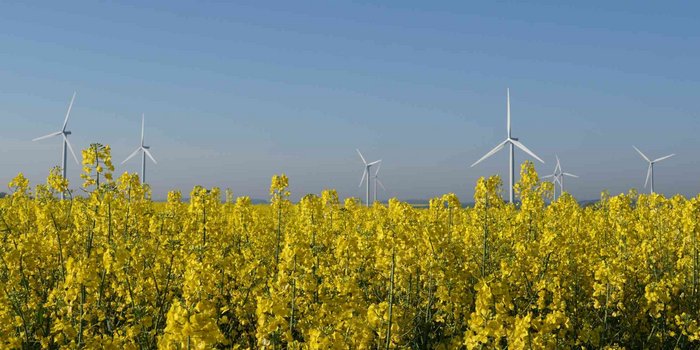 Husum Wind 2025: Familientreffen einer Zukunftsbranche